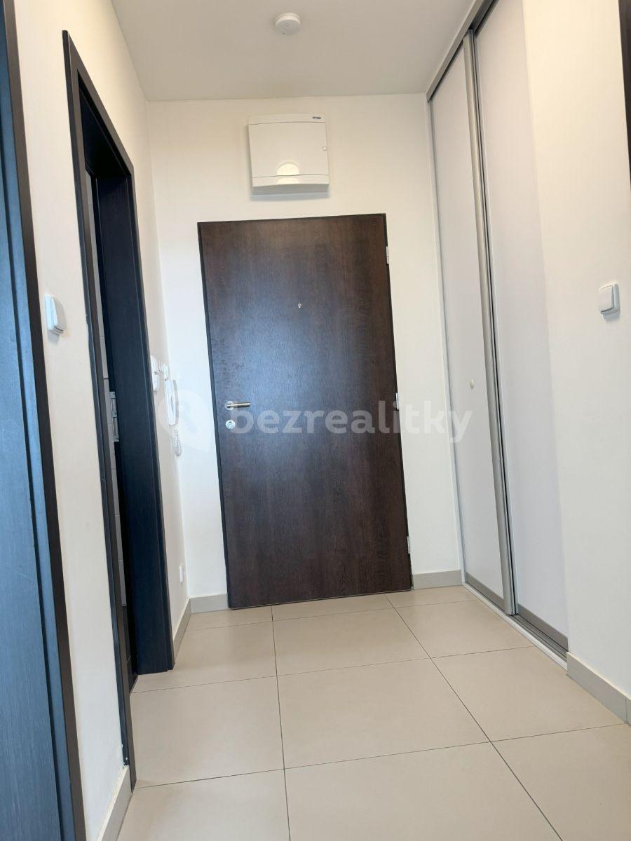 1 bedroom with open-plan kitchen flat for sale, 55 m², Kryšpínova, Prague, Prague