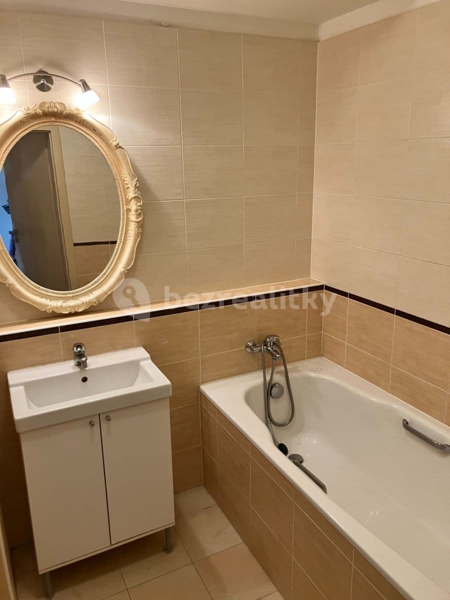 1 bedroom with open-plan kitchen flat to rent, 55 m², Bratislavská, Prague, Prague 1 bedroom with open-plan kitchen flat to rent, 55 m², Bratislavská, Prague, Prague
