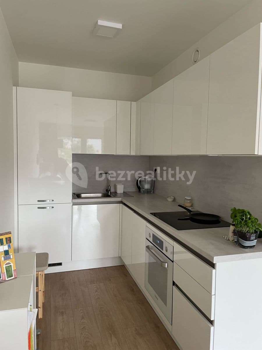 1 bedroom with open-plan kitchen flat to rent, 50 m², Šífařská, Prague, Prague 1 bedroom with open-plan kitchen flat to rent, 50 m², Šífařská, Prague, Prague