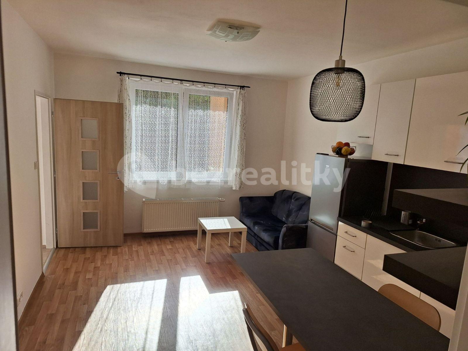 1 bedroom with open-plan kitchen flat to rent, 40 m², Starochodovská, Prague, Prague