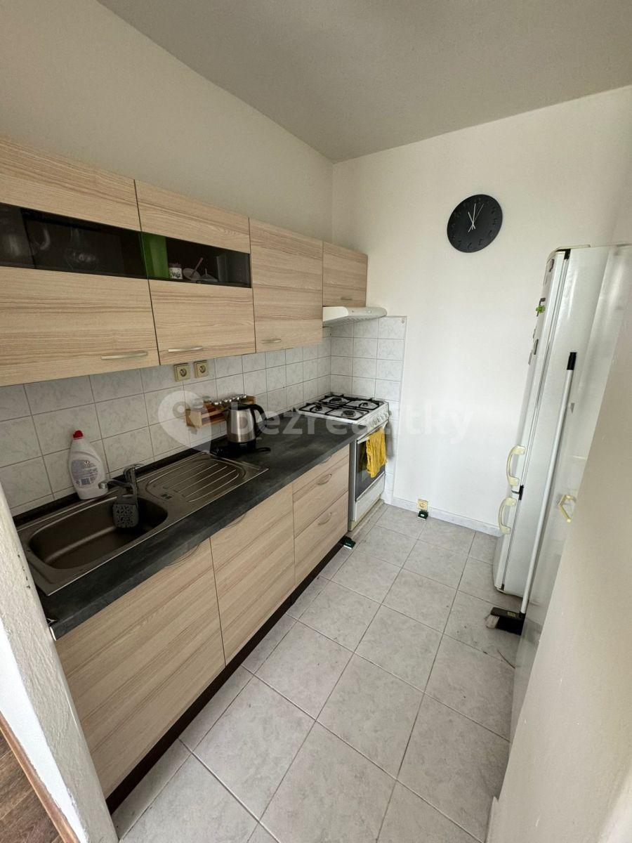 1 bedroom with open-plan kitchen flat to rent, 42 m², Štichova, Prague, Prague