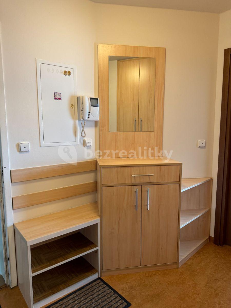 2 bedroom with open-plan kitchen flat to rent, 95 m², Podvinný mlýn, Prague, Prague