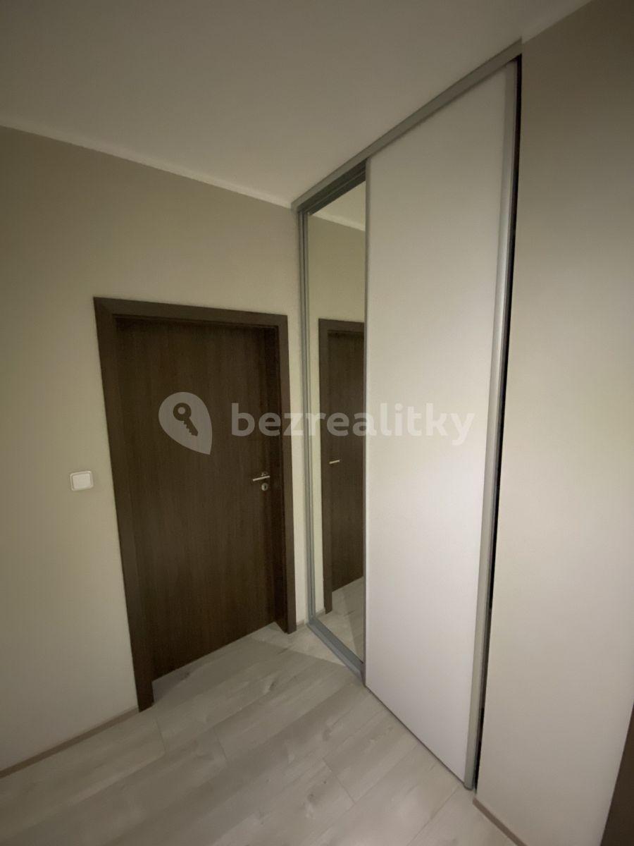 2 bedroom with open-plan kitchen flat to rent, 88 m², Honzíkova, Prague, Prague