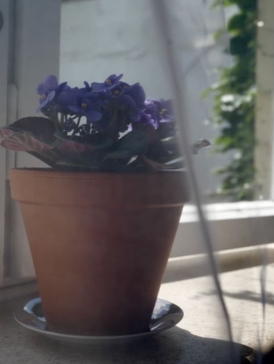 flat to rent, 35 m², Konviktská, Prague, Prague flat to rent, 35 m², Konviktská, Prague, Prague