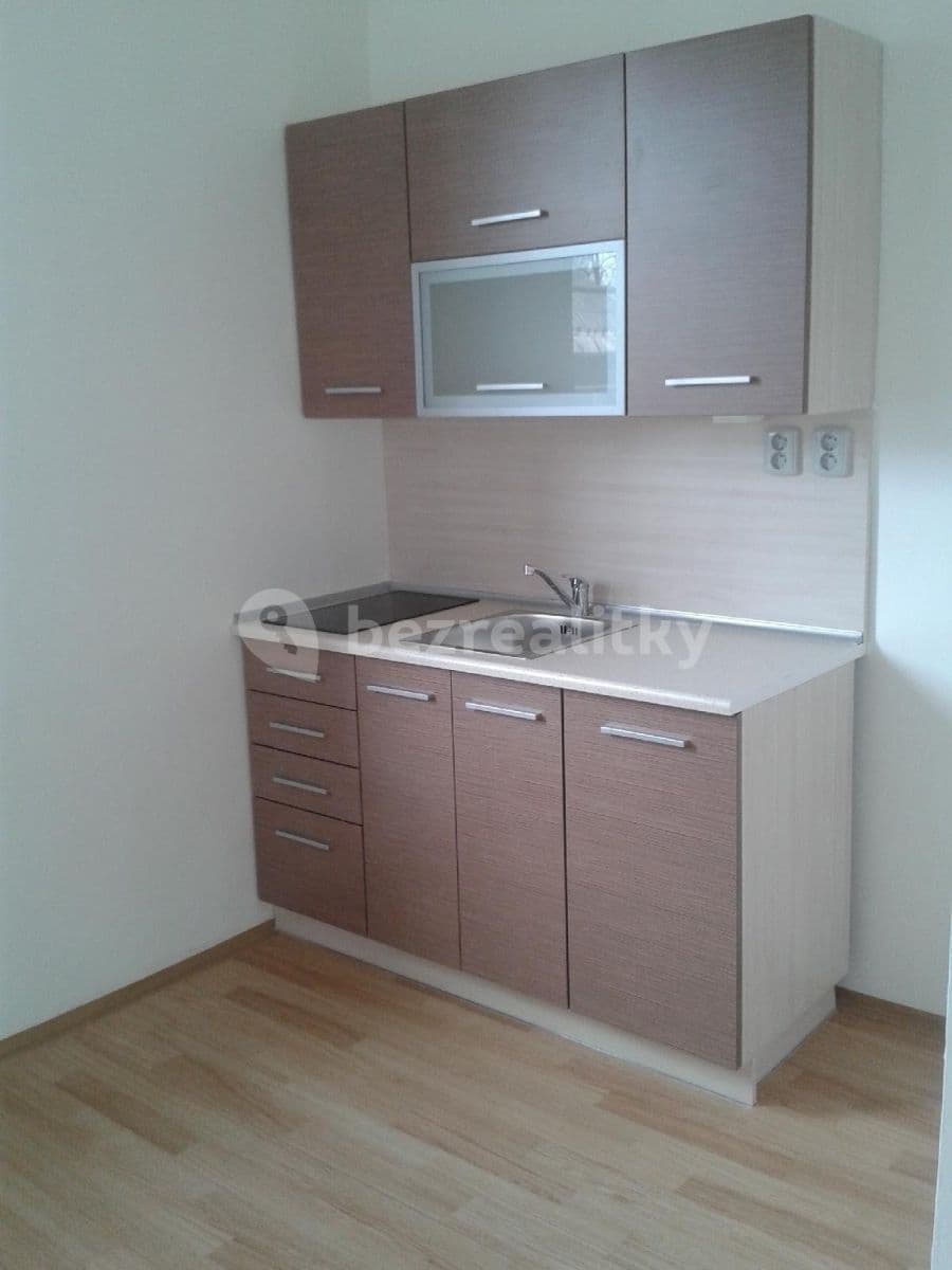 1 bedroom with open-plan kitchen flat to rent, 57 m², Hrušovská, Ostrava, Moravskoslezský Region