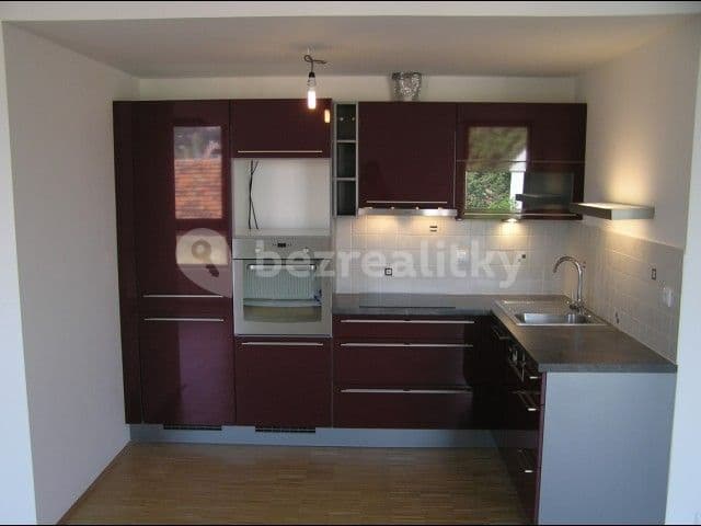 1 bedroom with open-plan kitchen flat to rent, 57 m², Na Srážku, Prague, Prague 1 bedroom with open-plan kitchen flat to rent, 57 m², Na Srážku, Prague, Prague