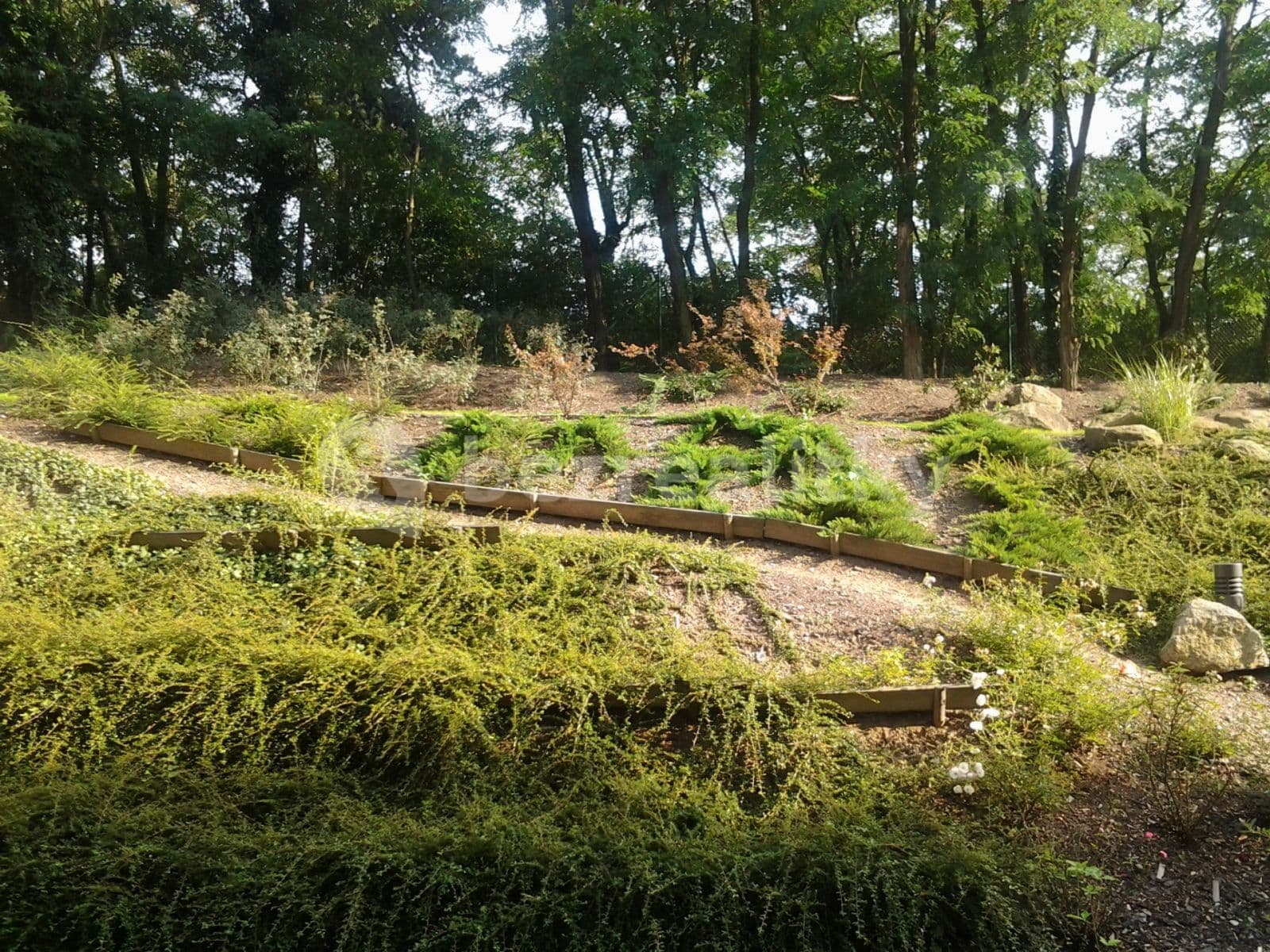 1 bedroom with open-plan kitchen flat to rent, 57 m², Na Srážku, Prague, Prague 1 bedroom with open-plan kitchen flat to rent, 57 m², Na Srážku, Prague, Prague