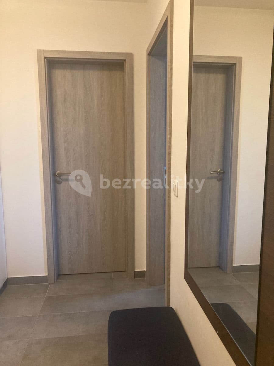 1 bedroom with open-plan kitchen flat to rent, 50 m², Strnadových, Prague, Prague