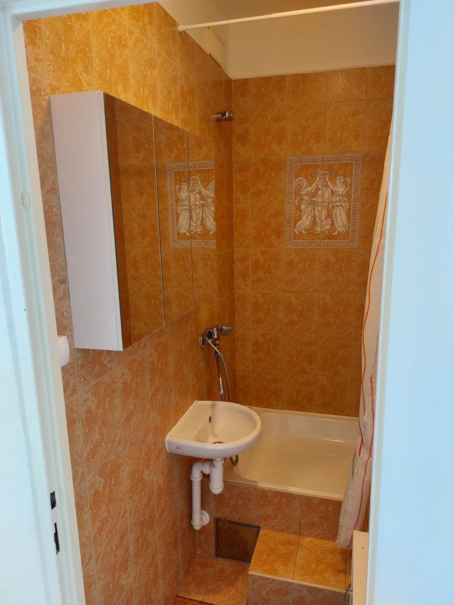 Studio flat to rent, 28 m², Jahodová, Prague, Prague Studio flat to rent, 28 m², Jahodová, Prague, Prague