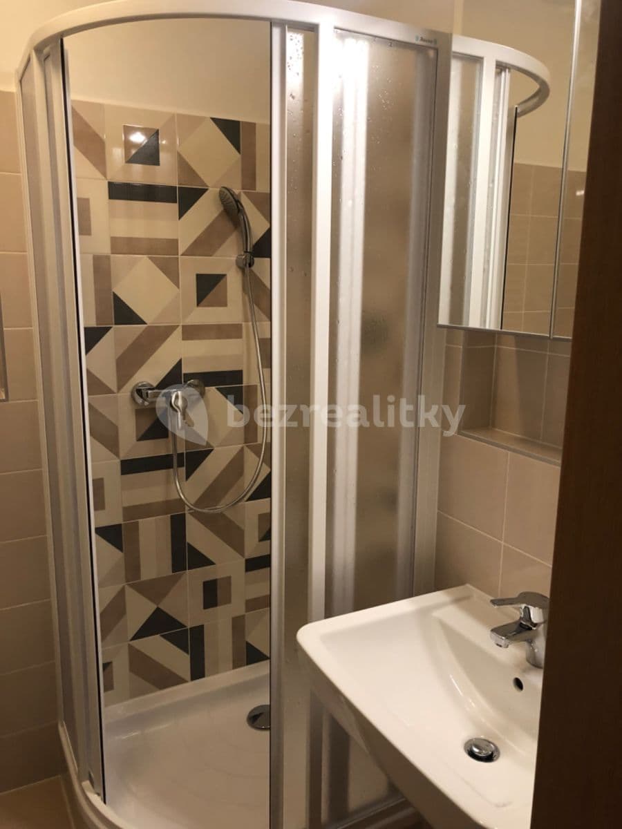 Studio flat to rent, 27 m², Bolzanova, Chýně, Středočeský Region Studio flat to rent, 27 m², Bolzanova, Chýně, Středočeský Region
