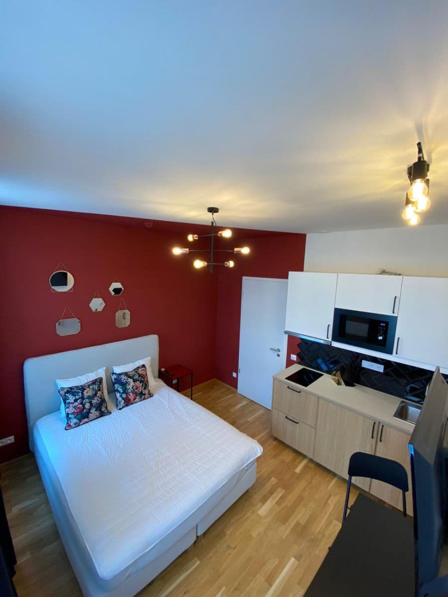 flat to rent, 24 m², Tyršova, Prague, Prague flat to rent, 24 m², Tyršova, Prague, Prague