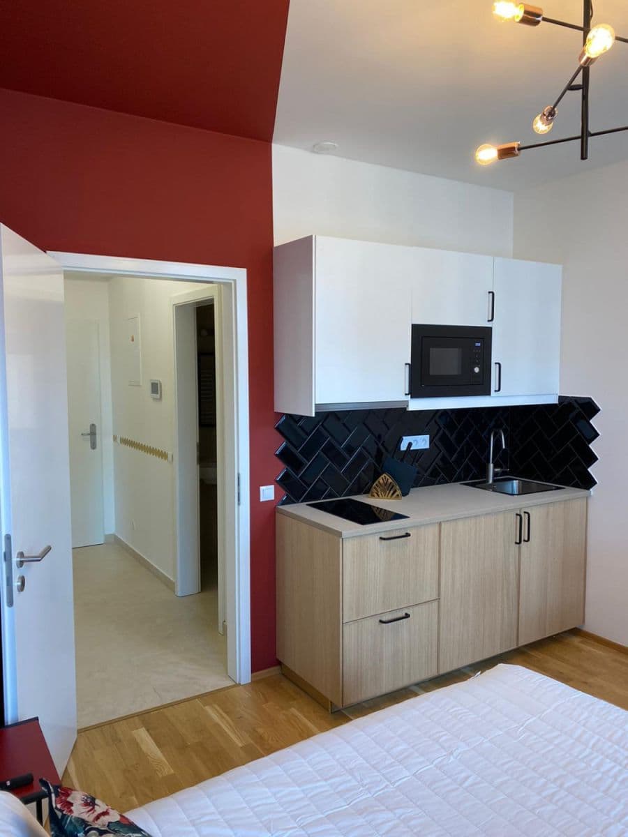 flat to rent, 24 m², Tyršova, Prague, Prague flat to rent, 24 m², Tyršova, Prague, Prague