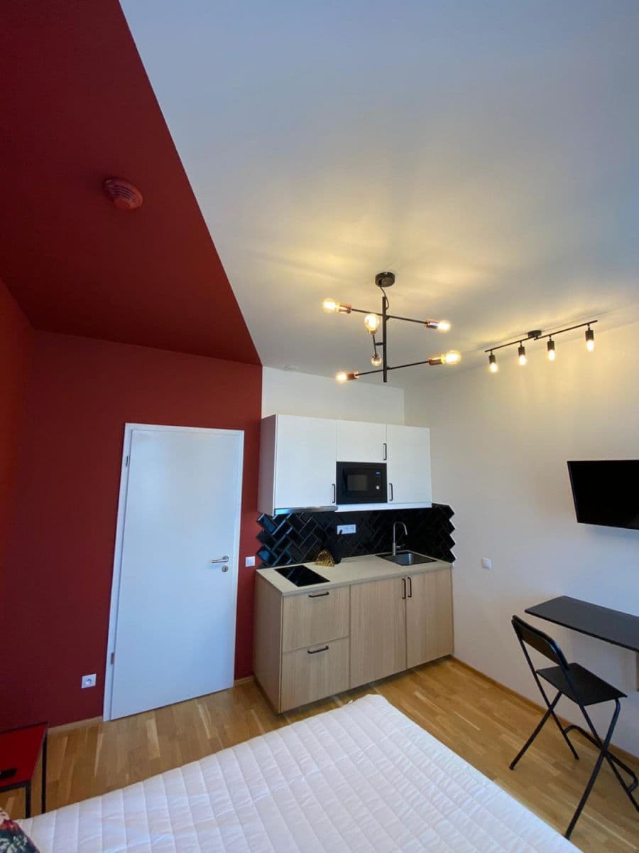 flat to rent, 24 m², Tyršova, Prague, Prague flat to rent, 24 m², Tyršova, Prague, Prague