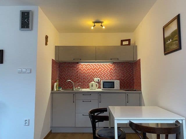 flat to rent, 25 m², Heydukova, Prague, Prague flat to rent, 25 m², Heydukova, Prague, Prague