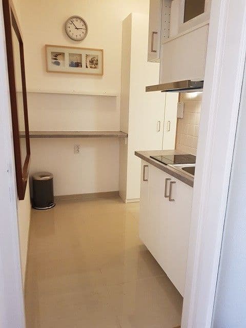 Small studio flat to rent, 32 m², Lannova, Prague, Prague Small studio flat to rent, 32 m², Lannova, Prague, Prague
