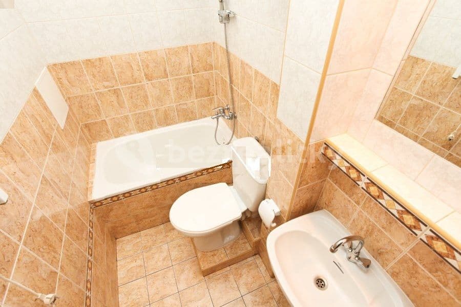 1 bedroom with open-plan kitchen flat to rent, 40 m², Branická, Prague, Prague 1 bedroom with open-plan kitchen flat to rent, 40 m², Branická, Prague, Prague