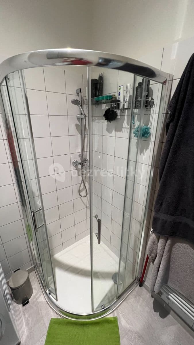 1 bedroom with open-plan kitchen flat to rent, 52 m², Vítězné náměstí, Prague, Prague 1 bedroom with open-plan kitchen flat to rent, 52 m², Vítězné náměstí, Prague, Prague