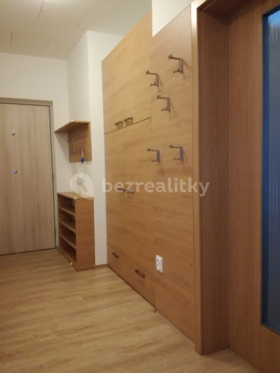 1 bedroom with open-plan kitchen flat to rent, 51 m², Lidická, Brno, Jihomoravský Region 1 bedroom with open-plan kitchen flat to rent, 51 m², Lidická, Brno, Jihomoravský Region
