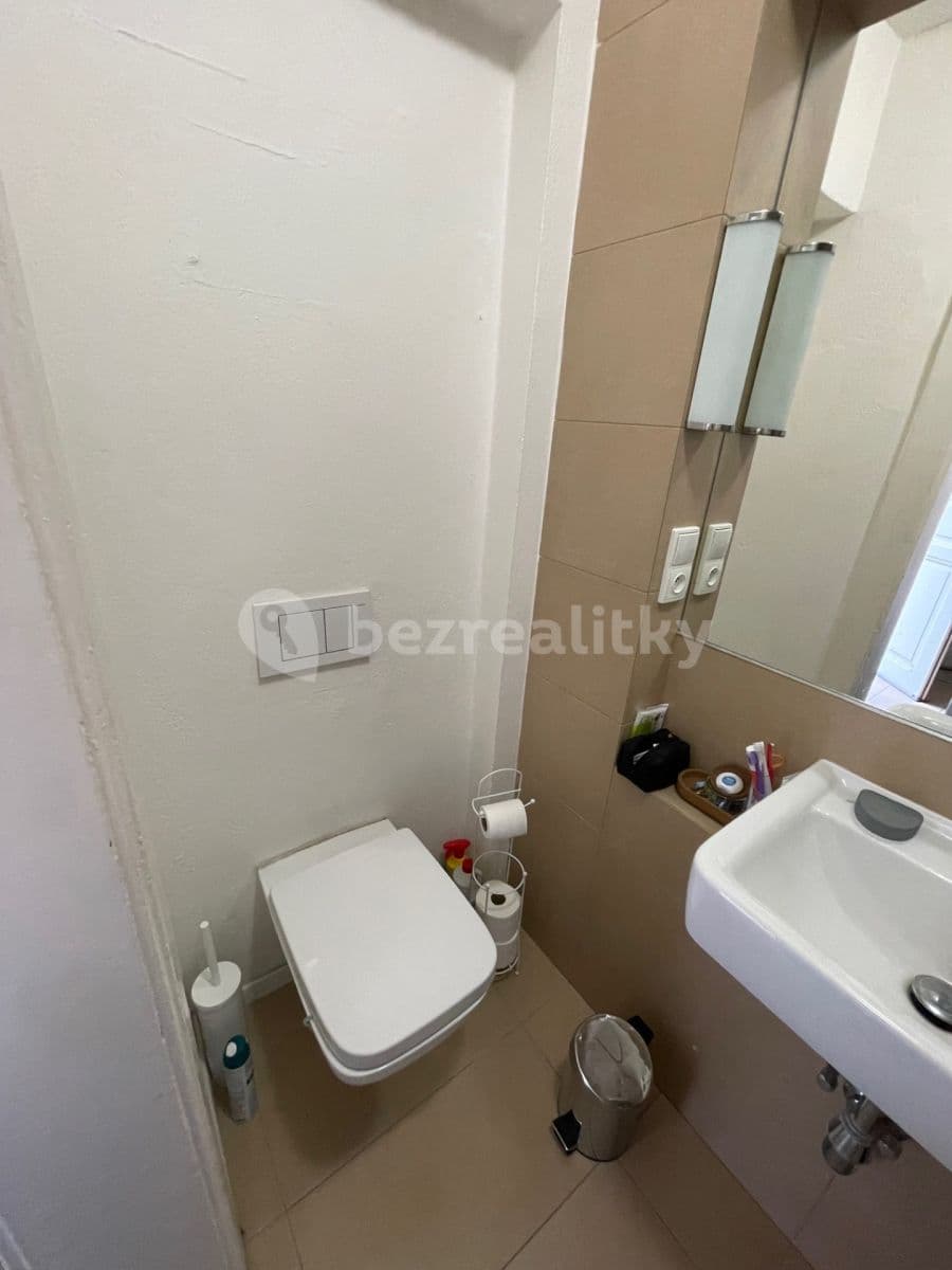 1 bedroom with open-plan kitchen flat to rent, 48 m², Veverkova, Prague, Prague 1 bedroom with open-plan kitchen flat to rent, 48 m², Veverkova, Prague, Prague