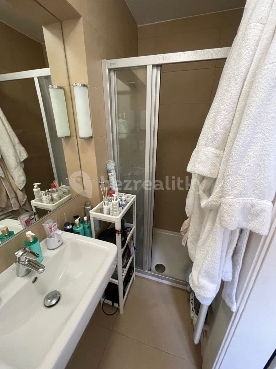 1 bedroom with open-plan kitchen flat to rent, 48 m², Veverkova, Prague, Prague 1 bedroom with open-plan kitchen flat to rent, 48 m², Veverkova, Prague, Prague