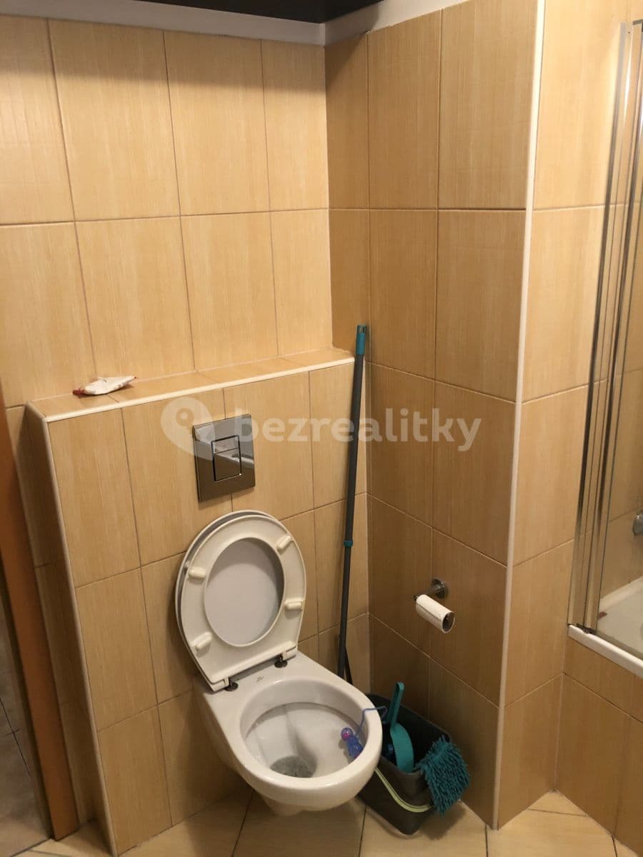 1 bedroom with open-plan kitchen flat to rent, 59 m², Pod Kavalírkou, Prague, Prague 1 bedroom with open-plan kitchen flat to rent, 59 m², Pod Kavalírkou, Prague, Prague