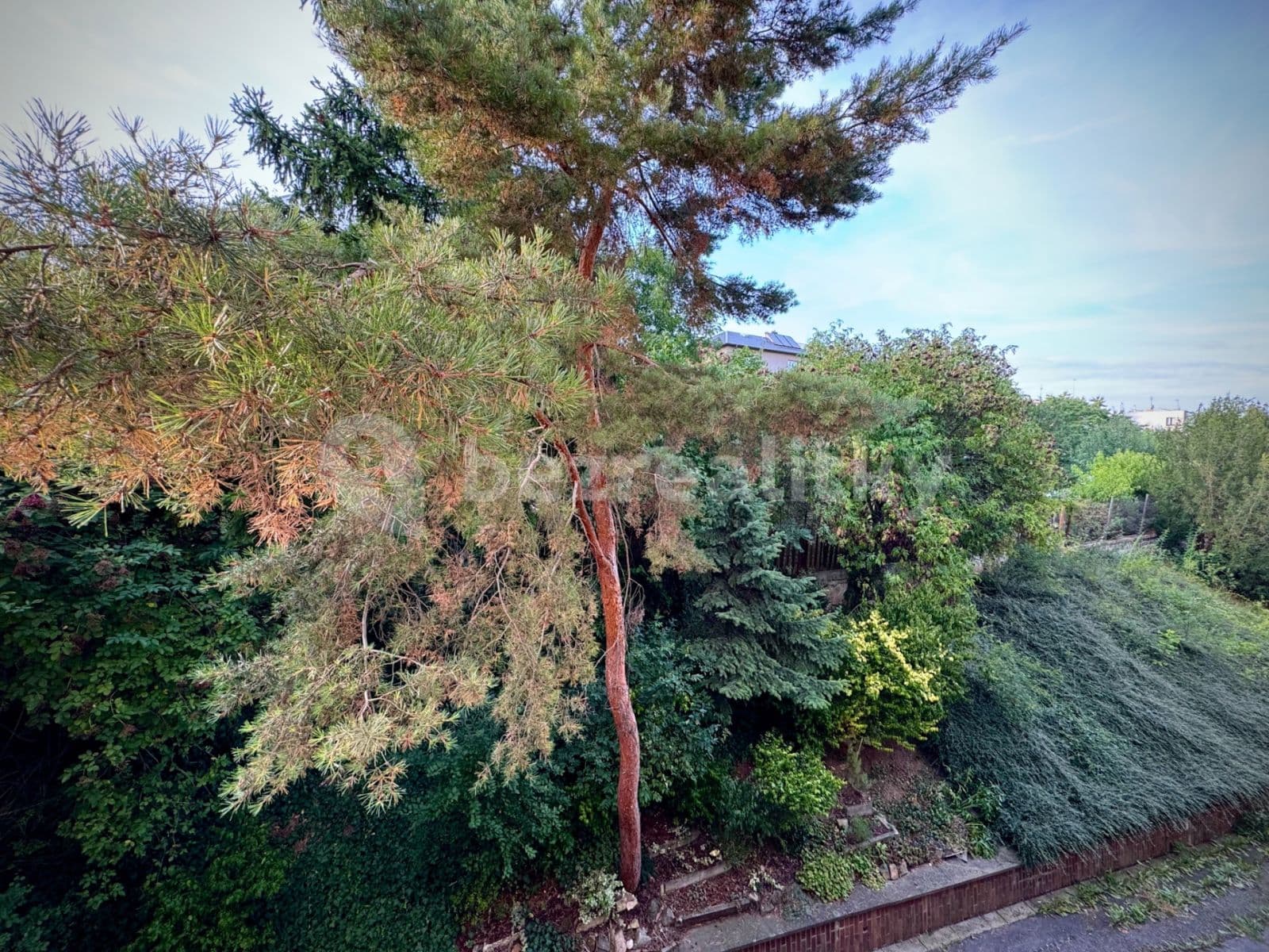 2 bedroom with open-plan kitchen flat to rent, 91 m², Na Křivce, Prague, Prague 2 bedroom with open-plan kitchen flat to rent, 91 m², Na Křivce, Prague, Prague