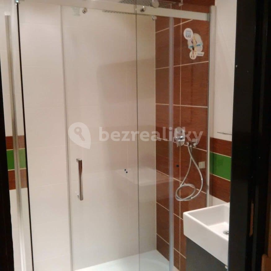 2 bedroom flat to rent, 66 m², Žinkovská, Prague, Prague 2 bedroom flat to rent, 66 m², Žinkovská, Prague, Prague