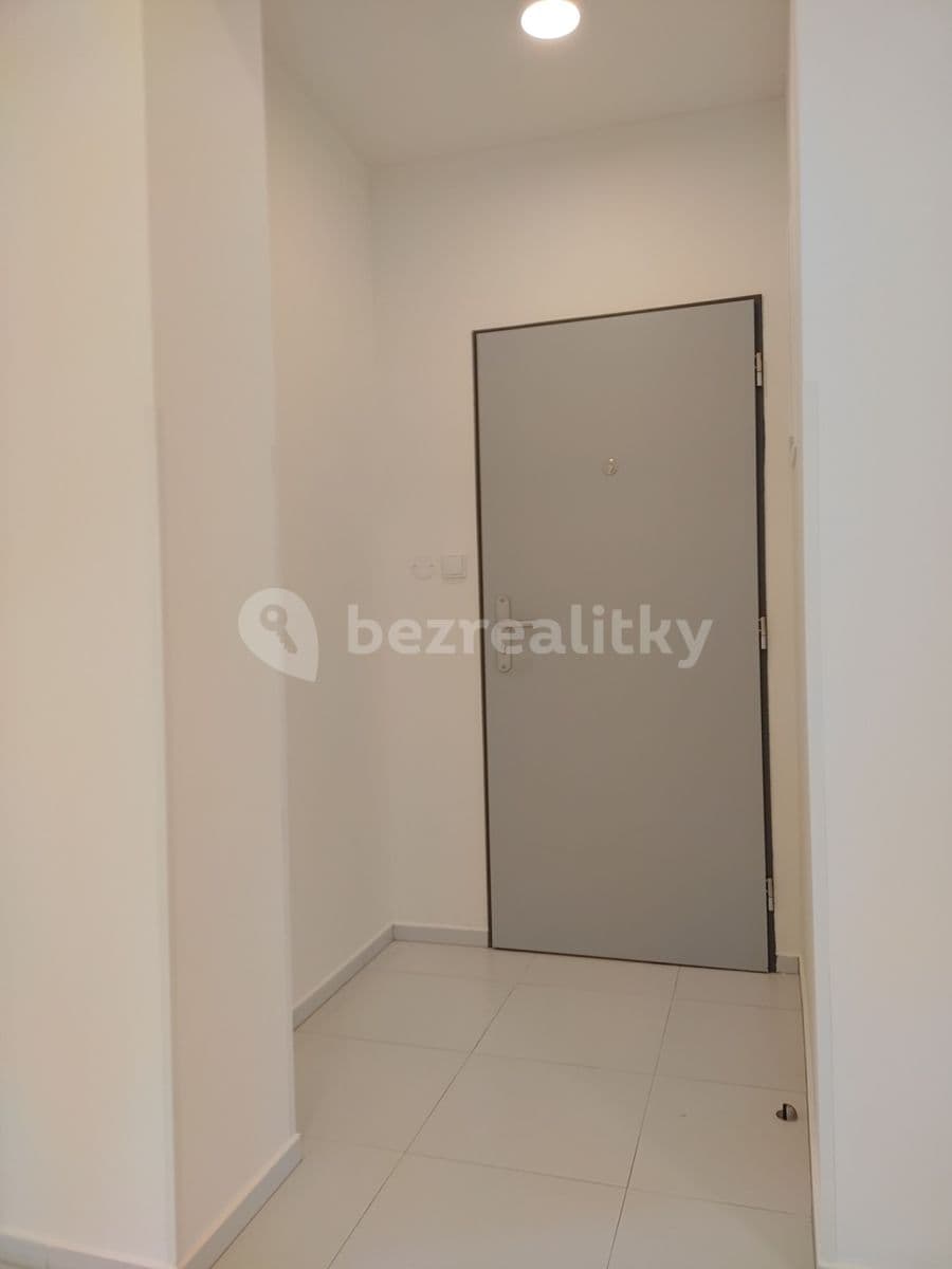 1 bedroom with open-plan kitchen flat to rent, 51 m², Nuselská, Prague, Prague 1 bedroom with open-plan kitchen flat to rent, 51 m², Nuselská, Prague, Prague