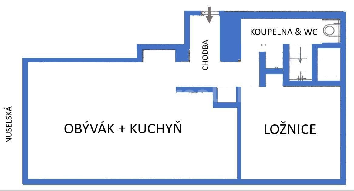 1 bedroom with open-plan kitchen flat to rent, 51 m², Nuselská, Prague, Prague 1 bedroom with open-plan kitchen flat to rent, 51 m², Nuselská, Prague, Prague