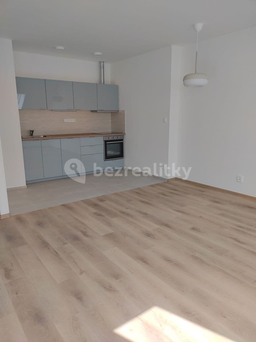 1 bedroom with open-plan kitchen flat to rent, 51 m², Nuselská, Prague, Prague 1 bedroom with open-plan kitchen flat to rent, 51 m², Nuselská, Prague, Prague