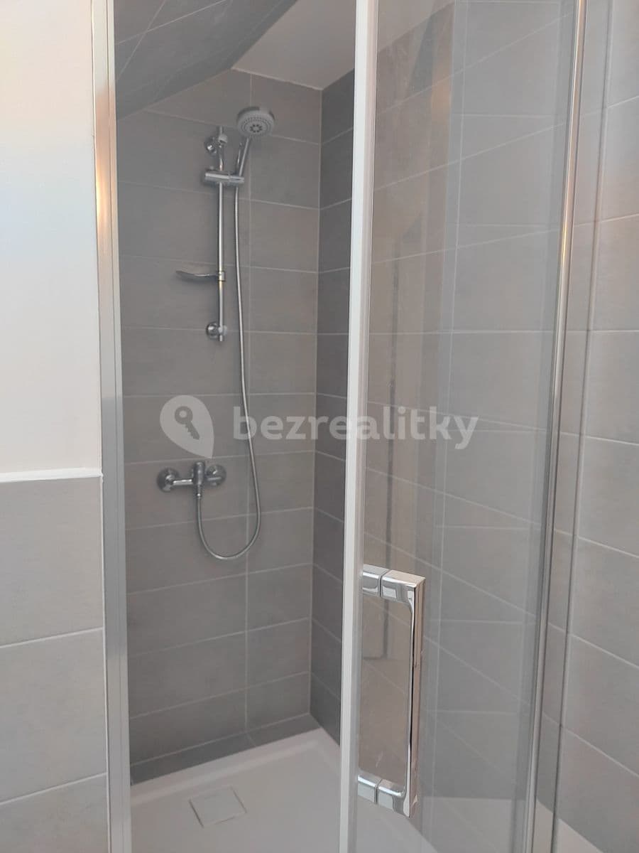 1 bedroom with open-plan kitchen flat to rent, 51 m², Nuselská, Prague, Prague 1 bedroom with open-plan kitchen flat to rent, 51 m², Nuselská, Prague, Prague
