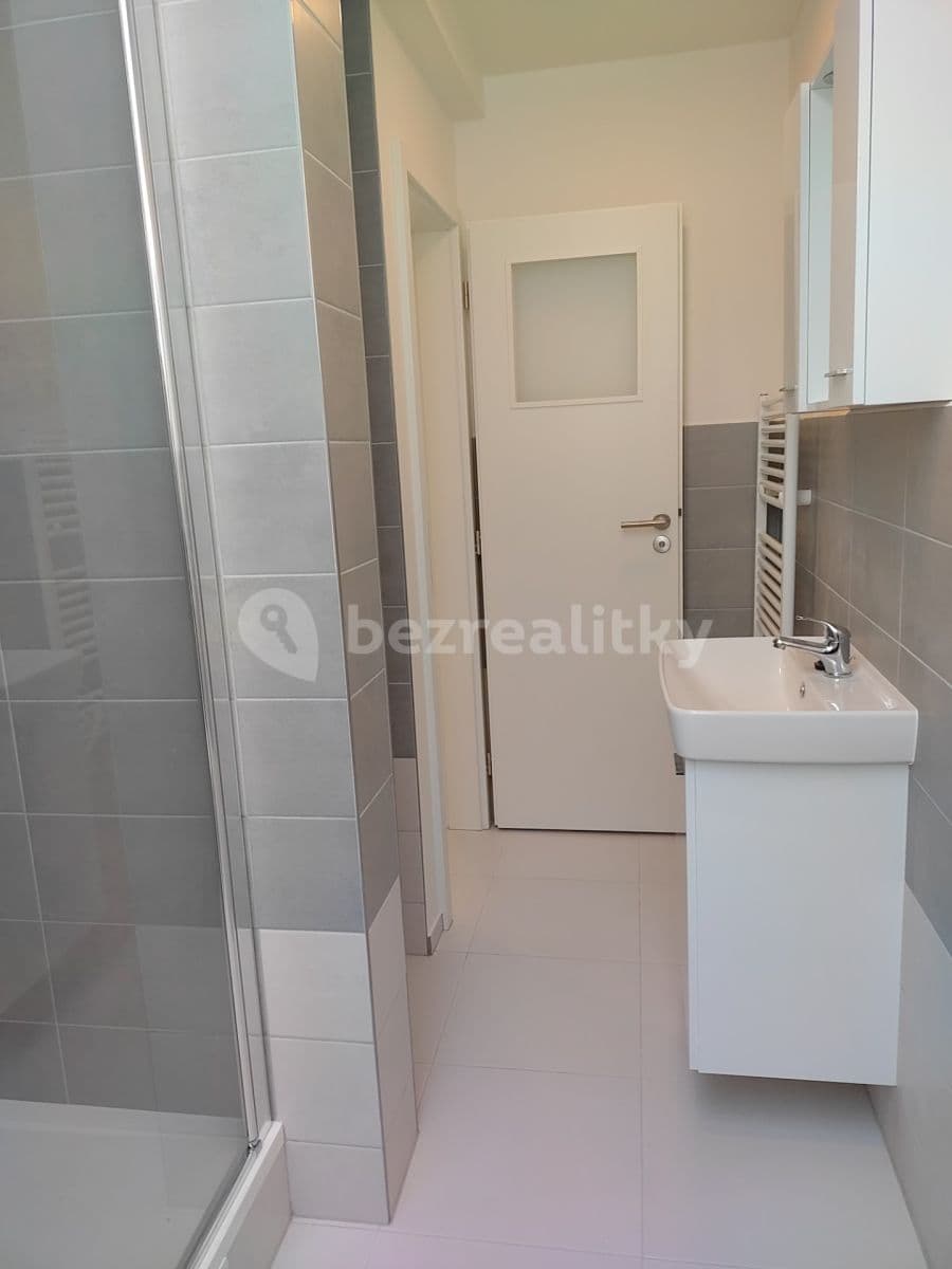 1 bedroom with open-plan kitchen flat to rent, 51 m², Nuselská, Prague, Prague 1 bedroom with open-plan kitchen flat to rent, 51 m², Nuselská, Prague, Prague