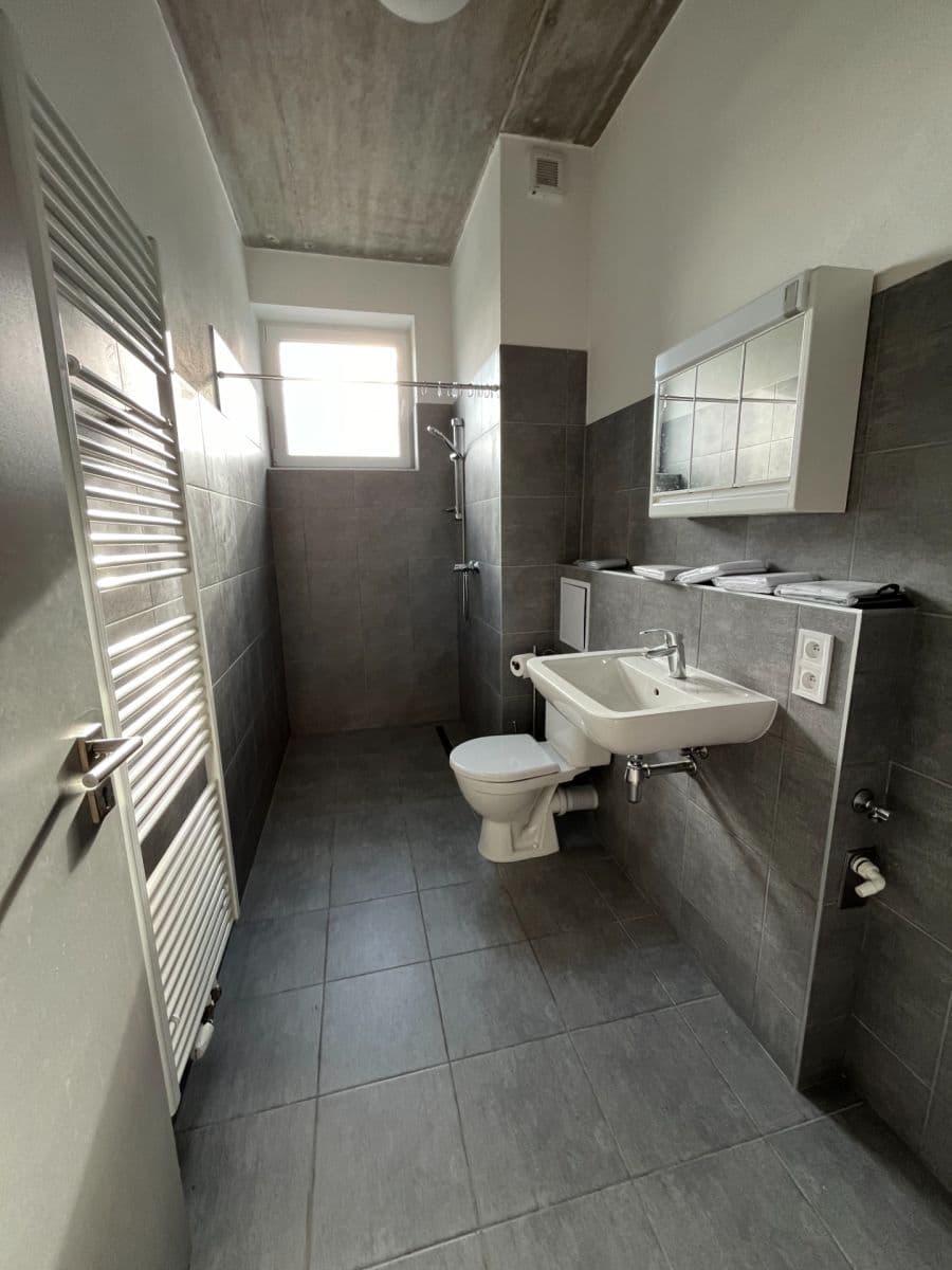 1 bedroom with open-plan kitchen flat to rent, 45 m², U Uhříněveské obory, Prague, Prague 1 bedroom with open-plan kitchen flat to rent, 45 m², U Uhříněveské obory, Prague, Prague