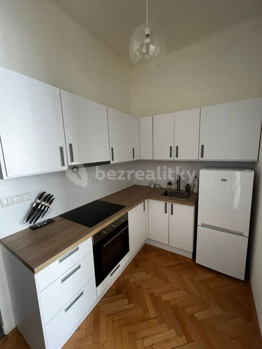 1 bedroom with open-plan kitchen flat to rent, 36 m², Sekaninova, Prague, Prague 1 bedroom with open-plan kitchen flat to rent, 36 m², Sekaninova, Prague, Prague