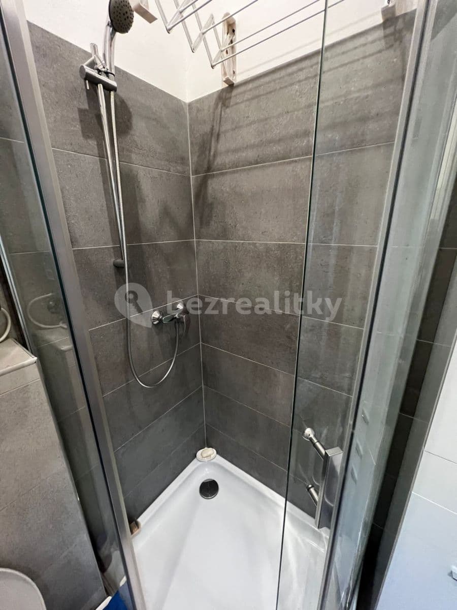 1 bedroom with open-plan kitchen flat to rent, 36 m², Sekaninova, Prague, Prague 1 bedroom with open-plan kitchen flat to rent, 36 m², Sekaninova, Prague, Prague