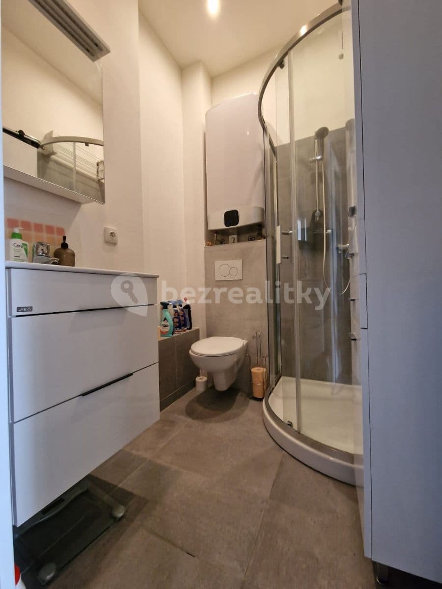 1 bedroom with open-plan kitchen flat to rent, 36 m², Sekaninova, Prague, Prague 1 bedroom with open-plan kitchen flat to rent, 36 m², Sekaninova, Prague, Prague
