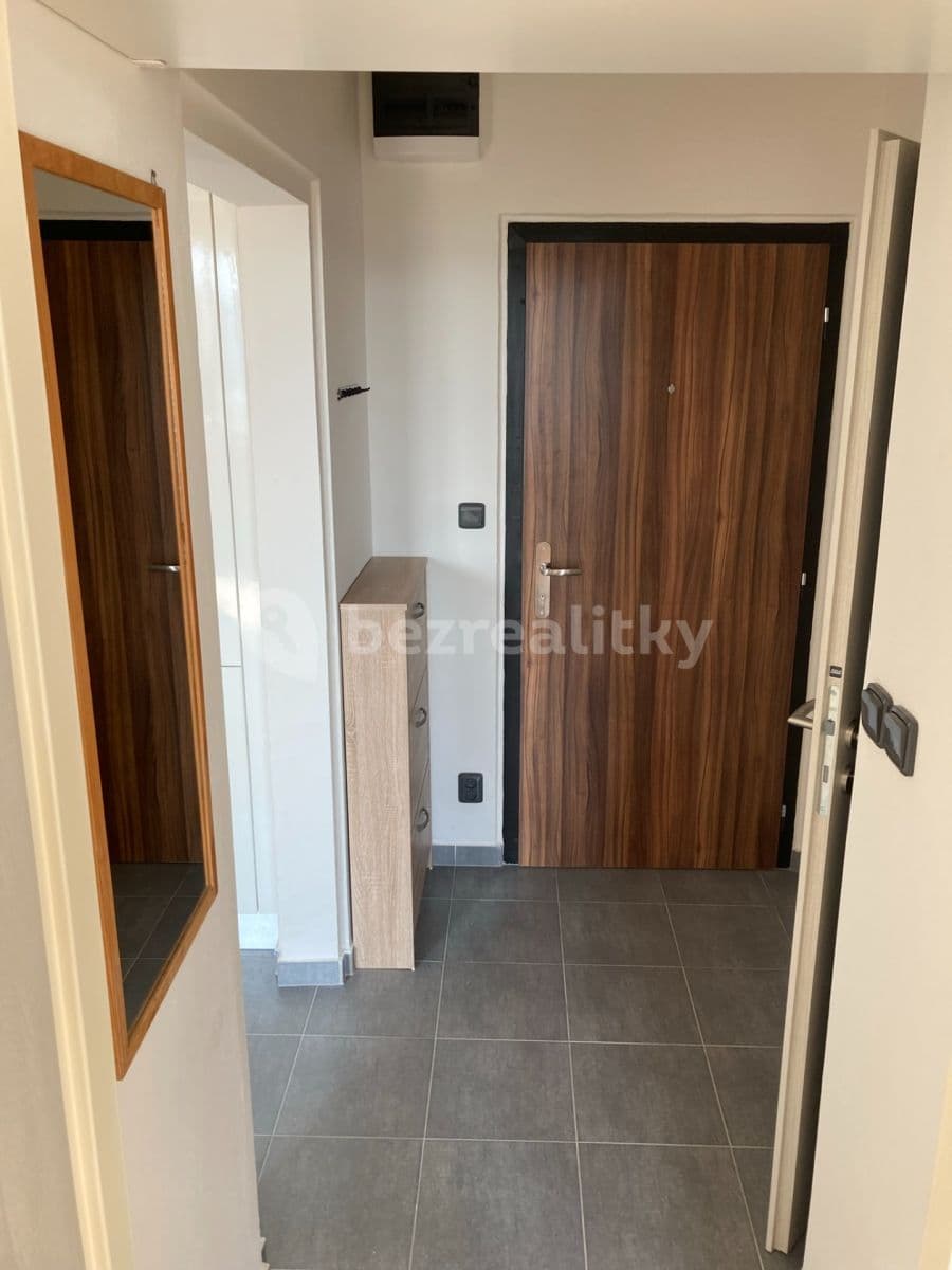 1 bedroom with open-plan kitchen flat to rent, 40 m², Štúrova, Prague, Prague 1 bedroom with open-plan kitchen flat to rent, 40 m², Štúrova, Prague, Prague