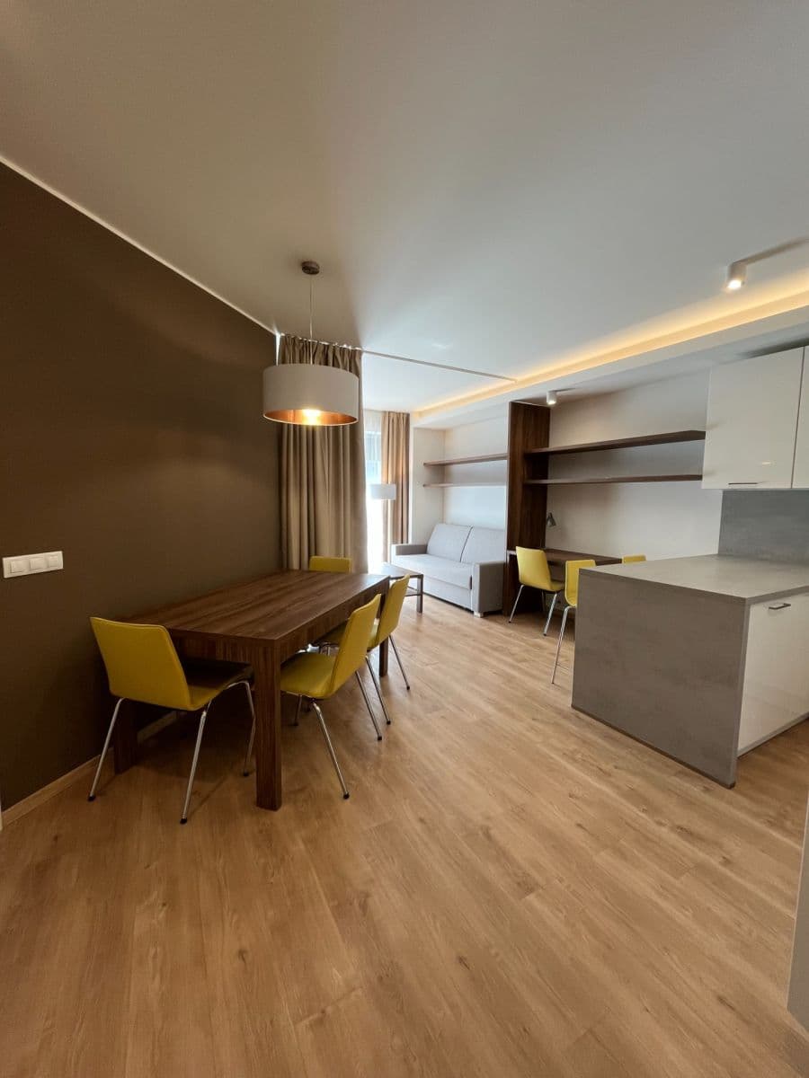 1 bedroom with open-plan kitchen flat to rent, 65 m², Mukařovského, Prague, Prague 1 bedroom with open-plan kitchen flat to rent, 65 m², Mukařovského, Prague, Prague