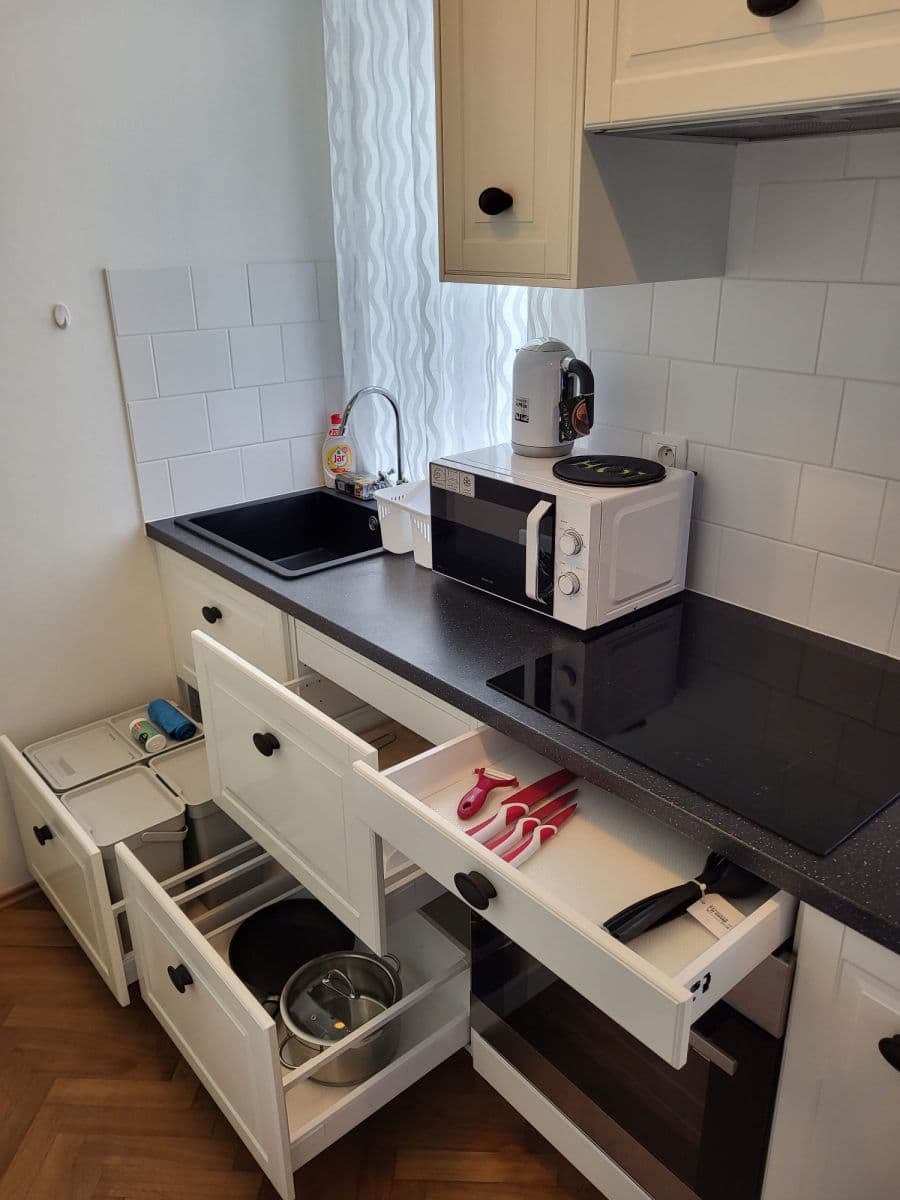 flat to rent, 45 m², Koubkova, Prague, Prague flat to rent, 45 m², Koubkova, Prague, Prague