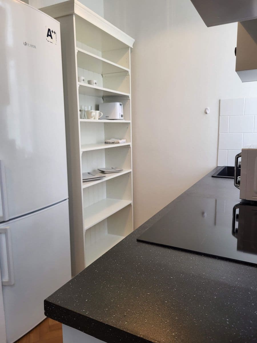 flat to rent, 45 m², Koubkova, Prague, Prague flat to rent, 45 m², Koubkova, Prague, Prague