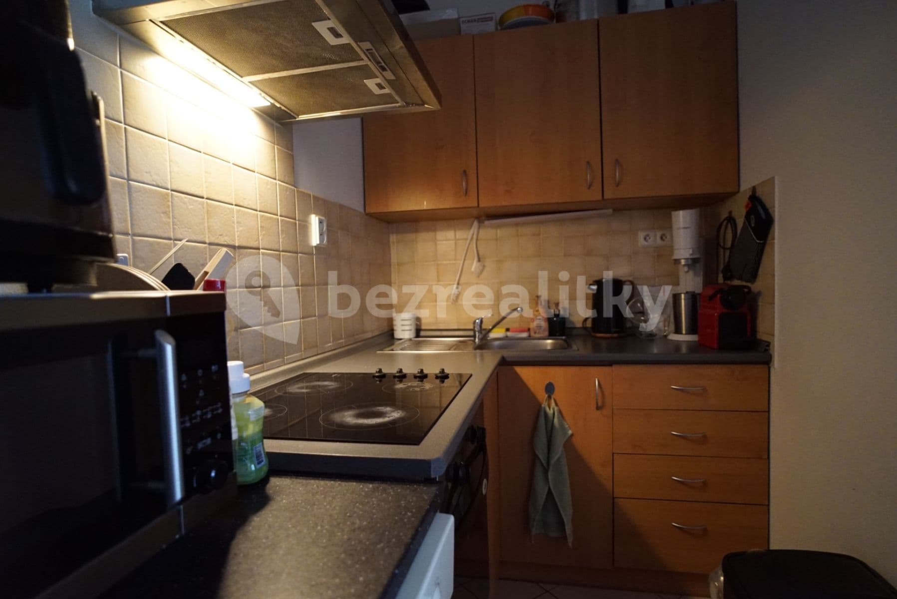 1 bedroom with open-plan kitchen flat to rent, 55 m², Preslova, Prague, Prague 1 bedroom with open-plan kitchen flat to rent, 55 m², Preslova, Prague, Prague
