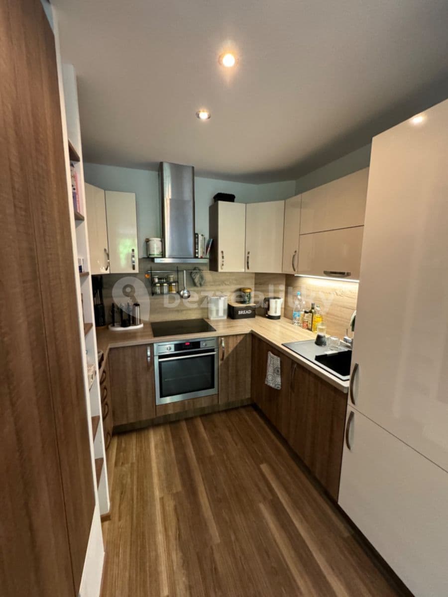 1 bedroom with open-plan kitchen flat to rent, 50 m², Brdlíkova, Prague, Prague 1 bedroom with open-plan kitchen flat to rent, 50 m², Brdlíkova, Prague, Prague