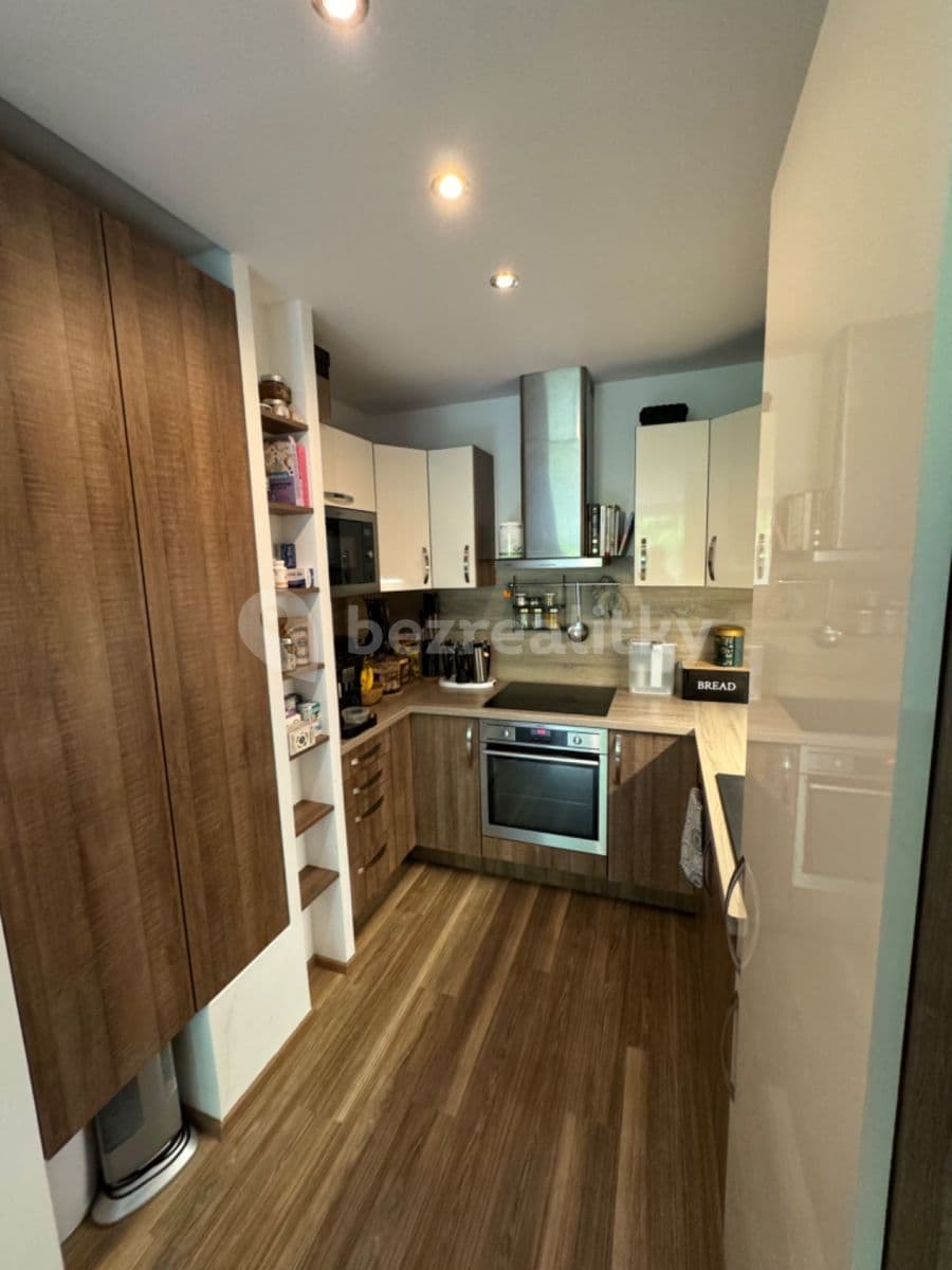 1 bedroom with open-plan kitchen flat to rent, 50 m², Brdlíkova, Prague, Prague 1 bedroom with open-plan kitchen flat to rent, 50 m², Brdlíkova, Prague, Prague