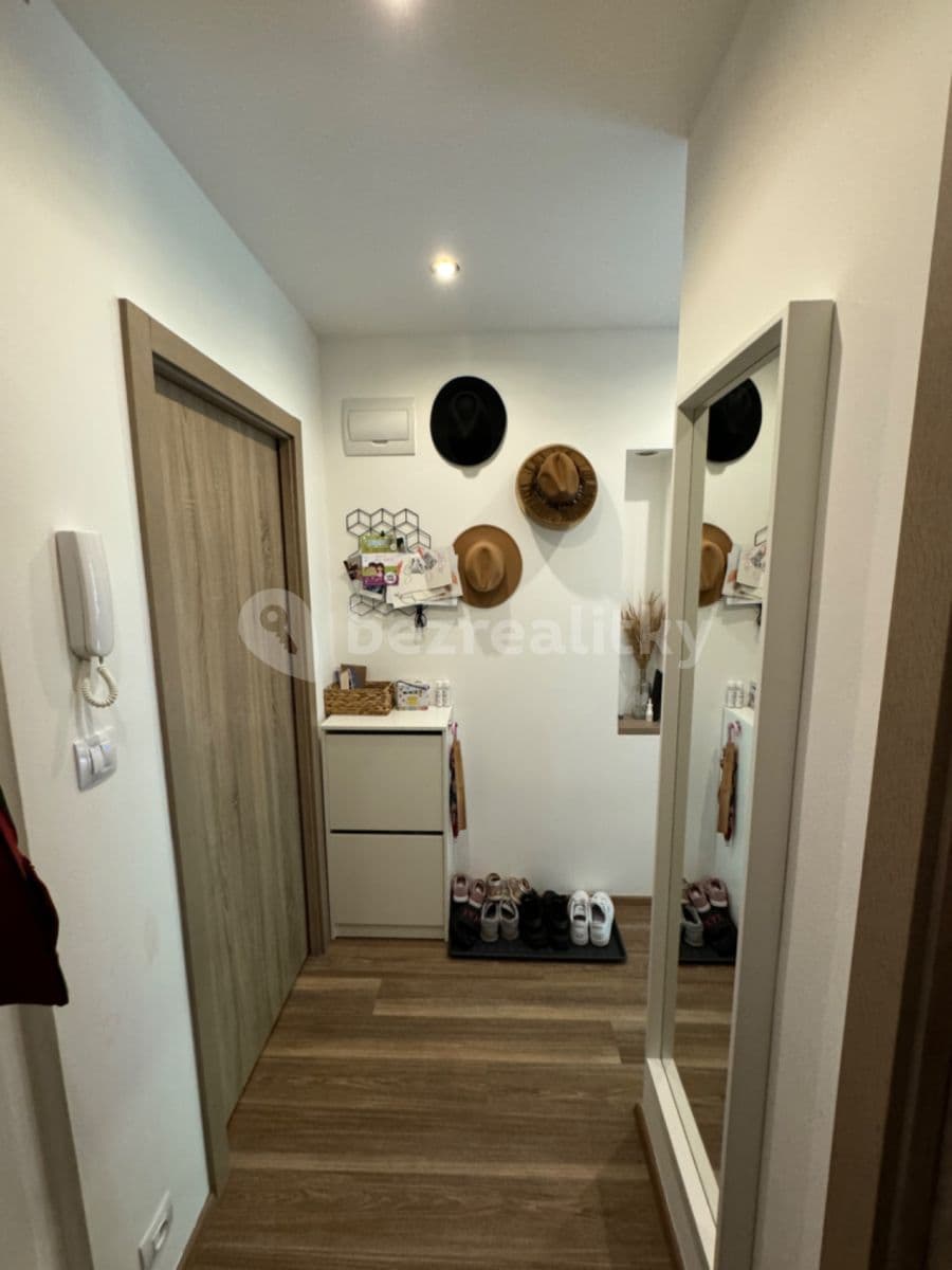 1 bedroom with open-plan kitchen flat to rent, 50 m², Brdlíkova, Prague, Prague 1 bedroom with open-plan kitchen flat to rent, 50 m², Brdlíkova, Prague, Prague