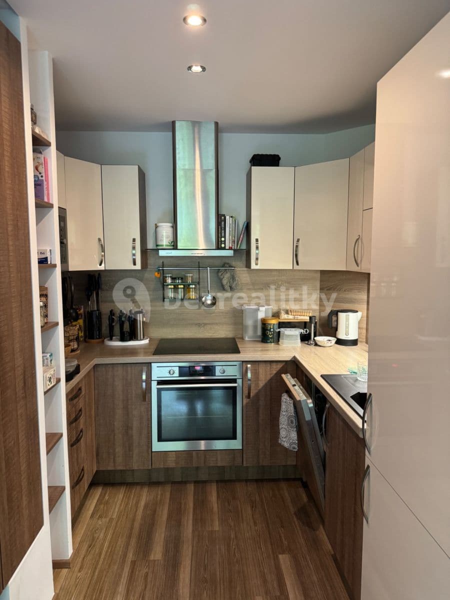 1 bedroom with open-plan kitchen flat to rent, 50 m², Brdlíkova, Prague, Prague 1 bedroom with open-plan kitchen flat to rent, 50 m², Brdlíkova, Prague, Prague