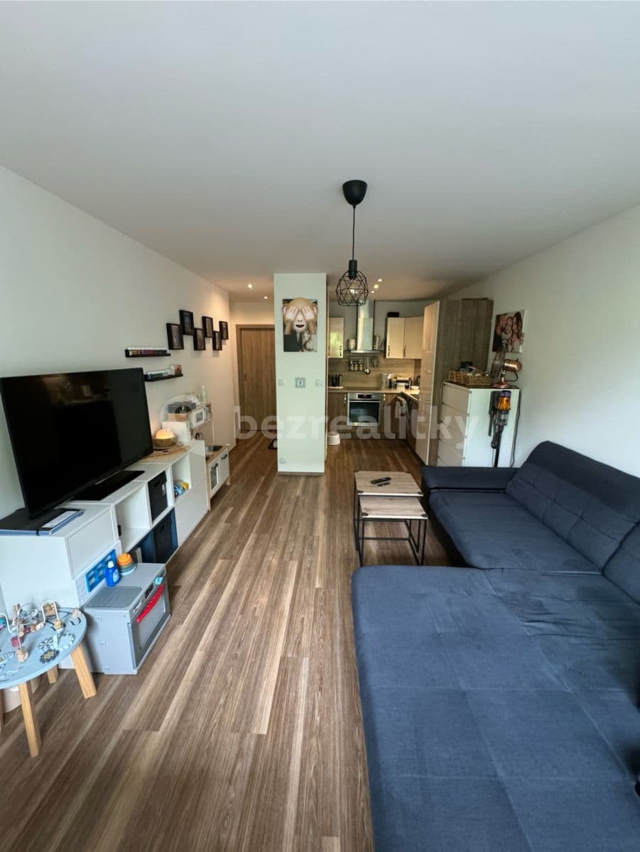 1 bedroom with open-plan kitchen flat to rent, 50 m², Brdlíkova, Prague, Prague 1 bedroom with open-plan kitchen flat to rent, 50 m², Brdlíkova, Prague, Prague