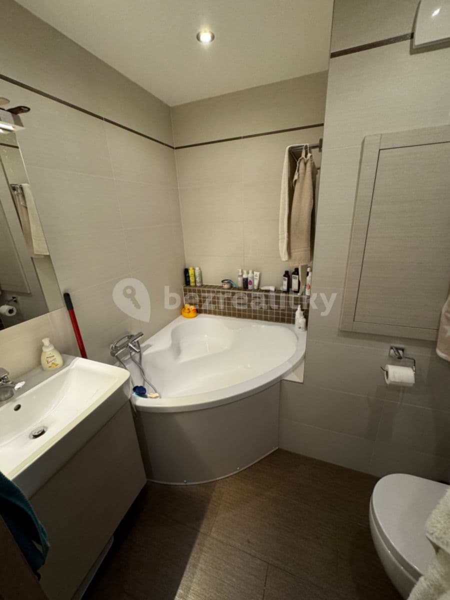 1 bedroom with open-plan kitchen flat to rent, 50 m², Brdlíkova, Prague, Prague 1 bedroom with open-plan kitchen flat to rent, 50 m², Brdlíkova, Prague, Prague