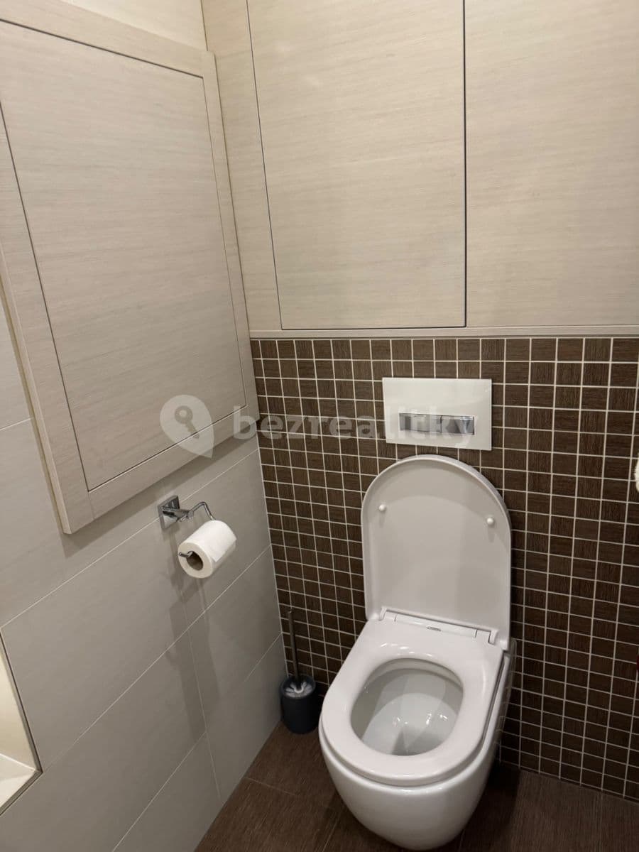 1 bedroom with open-plan kitchen flat to rent, 50 m², Brdlíkova, Prague, Prague 1 bedroom with open-plan kitchen flat to rent, 50 m², Brdlíkova, Prague, Prague