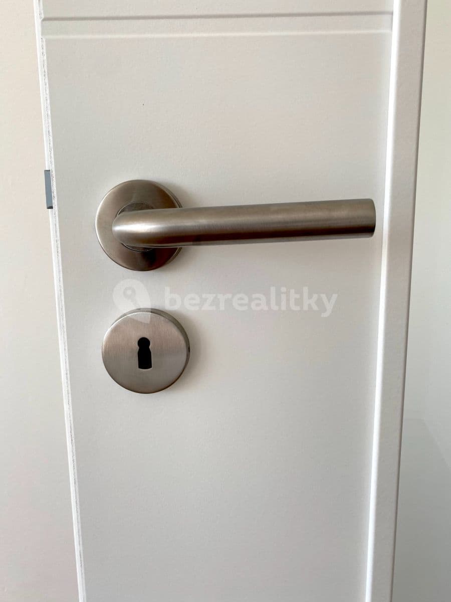 1 bedroom with open-plan kitchen flat to rent, 45 m², Plickova, Prague, Prague 1 bedroom with open-plan kitchen flat to rent, 45 m², Plickova, Prague, Prague