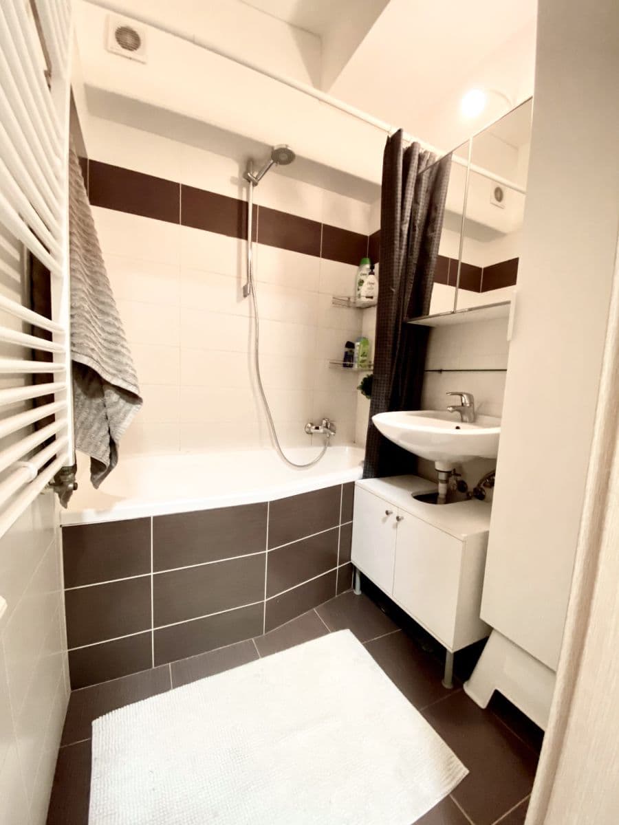 1 bedroom with open-plan kitchen flat to rent, 50 m², Sámova, Prague, Prague 1 bedroom with open-plan kitchen flat to rent, 50 m², Sámova, Prague, Prague